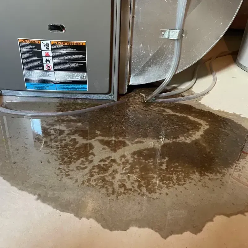 Appliance Leak Cleanup in Unicoi, TN